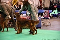 Crufts2011 489